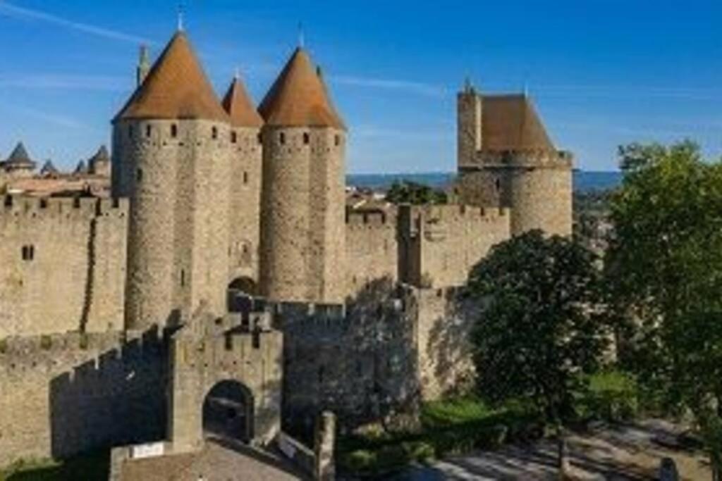 Apartment Spacieux Au Pied De La Cite Medievale Carcassonne
